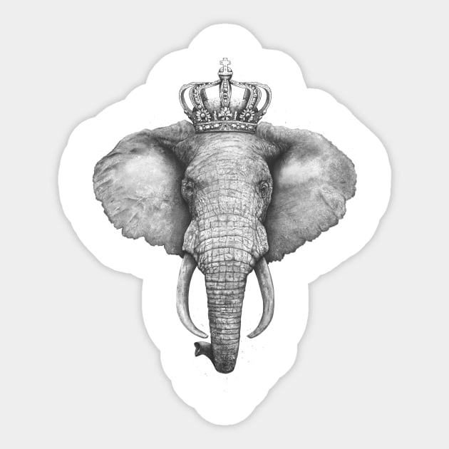 The King Elephant Sticker by kodamorkovkart